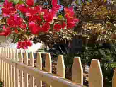 پیش‌دبستانی رُخساره در آبنوس کرمان