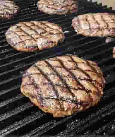 فست فود هربد در دانشگاه قزوین