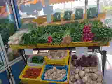 سوپر میوه مادر در ولایت قزوین