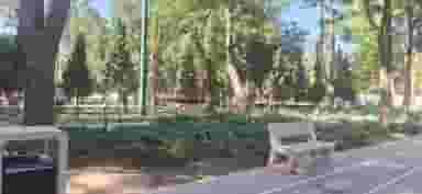 پارک ملت در حکم آباد قزوین