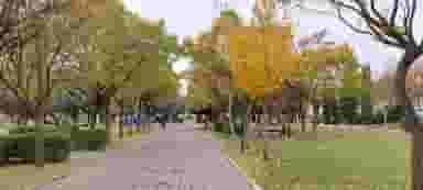 بوستان پامچال در کوثر قزوین