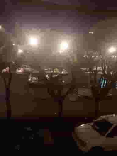 بوستان ارکیده در نوروزیان قزوین