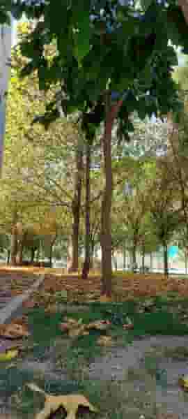 شهرک کوثر در کوثر قزوین