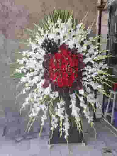 گلفروشی ویولت در کرامت قزوین