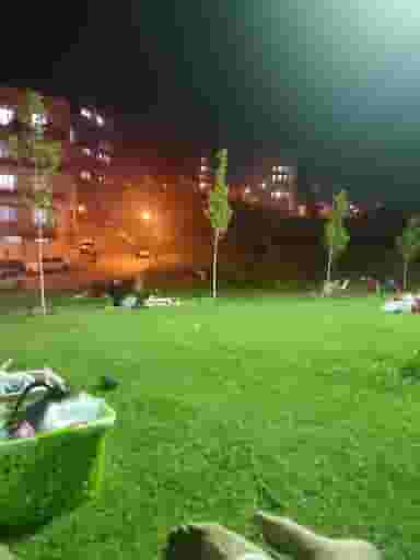 پارک در تپه کرباسی سنندج