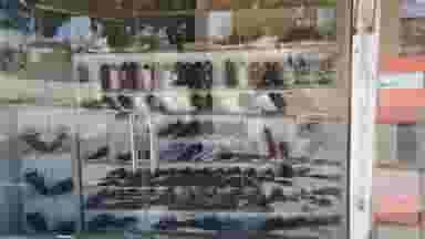 فروشگاه کفش آبیدرشاپ در فرجه سنندج