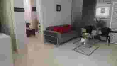 مطب جراحی عمومی دکتر علی حقانی کوی تختی گرگان