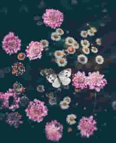 سوپر مارکت چگنی در آزادگان خرم‌آباد