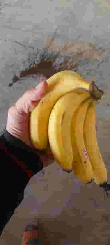 بارفروشی نبی بسطامی در ماسور خرم‌آباد