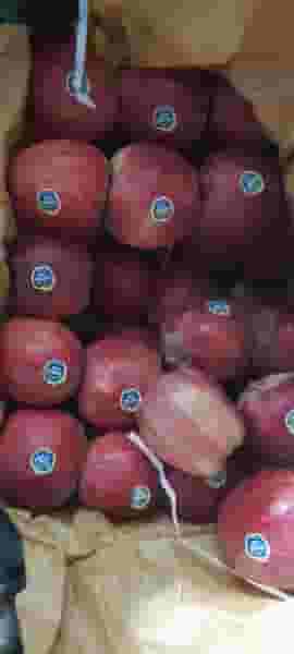 میوه فروشی محمدرضا بستامی و پسران در ماسور خرم‌آباد