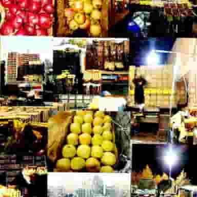 تره بار امیر عزیزیانی فرد در ماسور خرم‌آباد