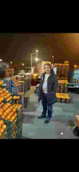 میوه تره بار پردیس در راه آهن بندرعباس