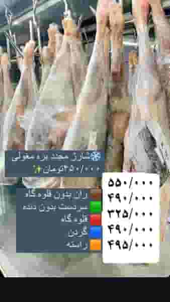 هایپر بوقلمون پرگاس در خاکفرج قم