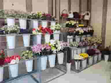 گل فروشی محمدرضا گلکار در امام رضا ارومیه