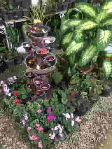 دهکده کاکتوس در امام رضا ارومیه