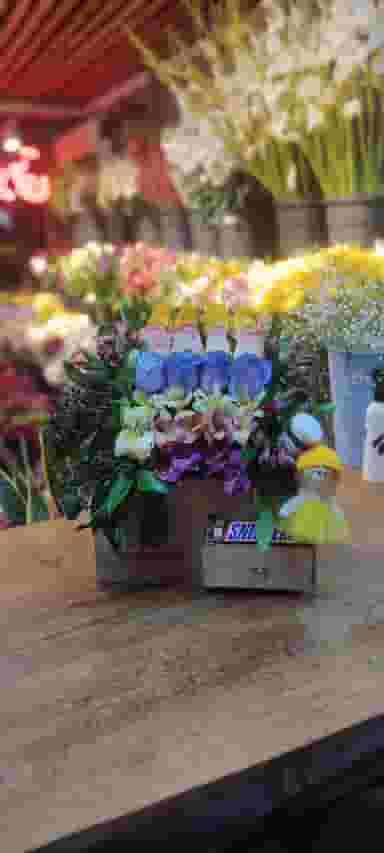 گل اروس در امام رضا ارومیه