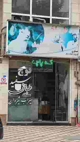 طباخی قوچ سفید در شهر فومن