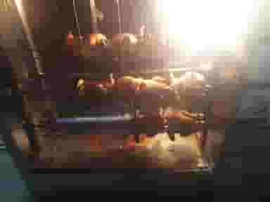 ساندویچ و پیتزا سان در شهر فشم