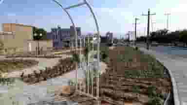 بوستان رز شهرک کارمندان زنجان