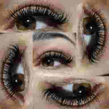 کاشت مژه ققنوس در دروازه رشت زنجان