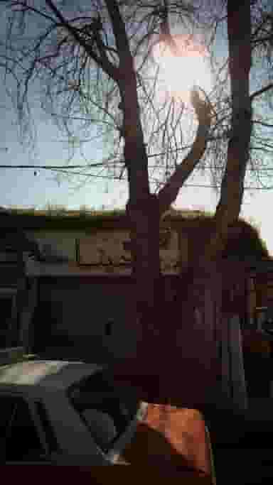 فروشگاه کفش دینا در طبرسی ساری