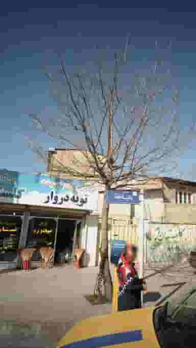 بورس برنج و حبوبات تویه دروار در طبرسی ساری