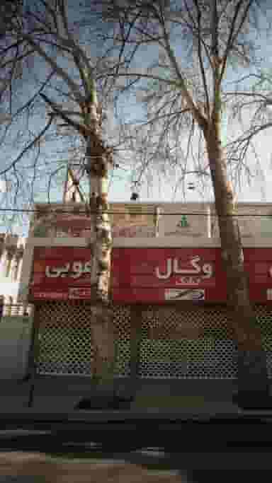 آلتین وگال هوبی در پانزده خرداد ساری