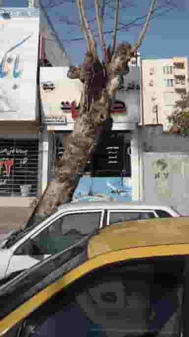 گشت سوما در ۸۶دستگاه ساری