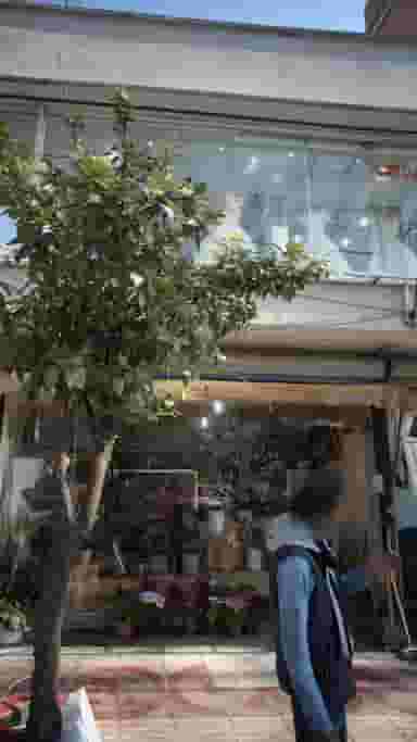 گلستان رنجبر در طبرسی ساری