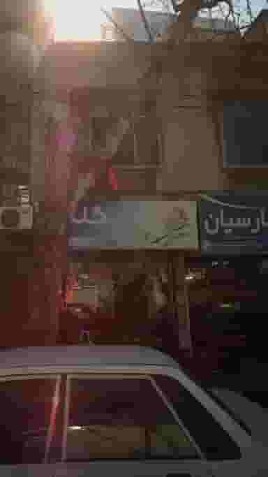 گلسا در طبرسی ساری