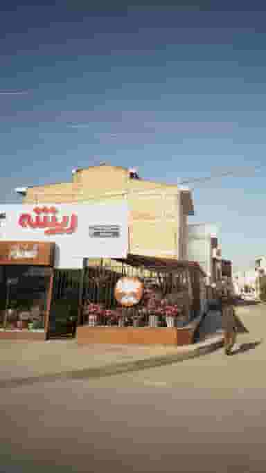 گلفروشی ریشه کوی برق ساری