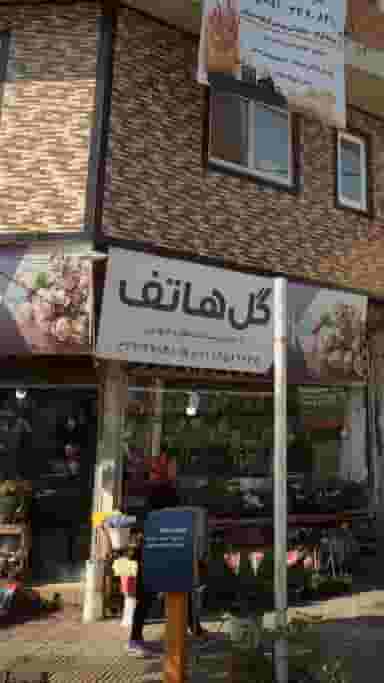 گل هاتف در دارداری ساری