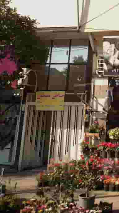 خیاطی مصطفی در دارداری ساری