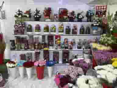 گلکده پارمیدا در مسکن کرمانشاه