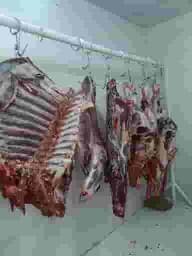 سوپر گوشت‌ فیروزآبادی شهرک الهیه کرمانشاه