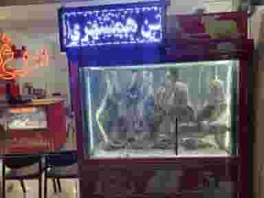 سوپر پروتئین همشهری شهرک ژاندارمری کرمانشاه