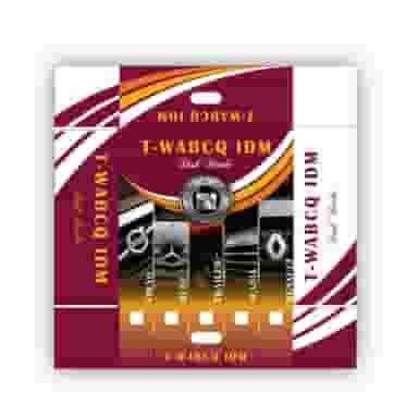 طراحی سایت و امورگرافیکی آی تی گستر در گلستان کرمانشاه