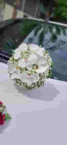 گل آرالیا در نیروگاه قم