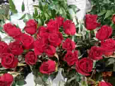 گل فروشی در خاکفرج قم