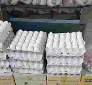 پخش تخم مرغ مسعود شهرک رازی تبریز