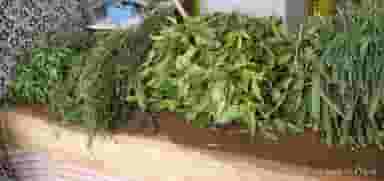 سبزی فروشی رحیمی در شیخ آباد قم
