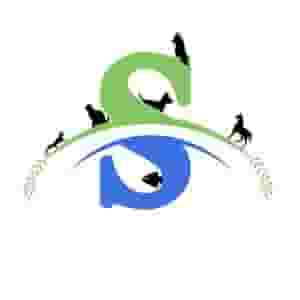 کفش سفیر در شیخ آباد قم