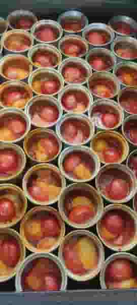 غذاخوری رواسان در رواسان تبریز