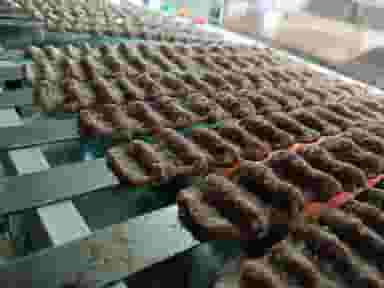 کافه رستوران لاله راز در باغ شمال(پاستور جدید)(حافظ) تبریز