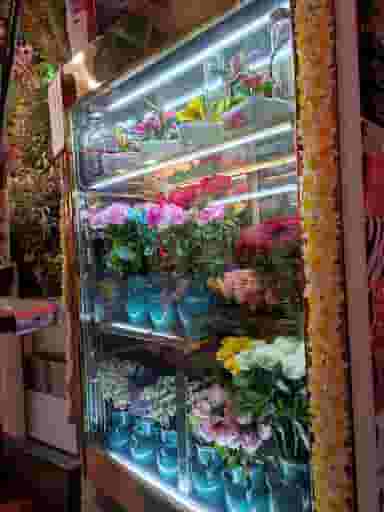گلسرای گلپر در ائل گلی تبریز