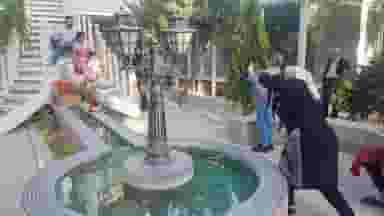 عکاسی برگ سبز در ولیعصر جنوبی تبریز