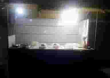 فلافل فروشی موعود و بچه محل در الصافی اهواز