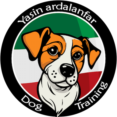 آکادمی آلفا در منازل کارون اهواز