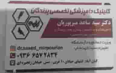 کلینیک دامپزشکی تخصصی پرندگان دکتر میرپوریان در کیان آباد اهواز