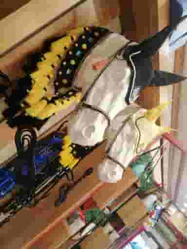 فروشگاه لوازم سوارکاری علاقمند در کمپلو(کوی انقلاب) اهواز